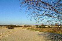 De Drunense Duinen